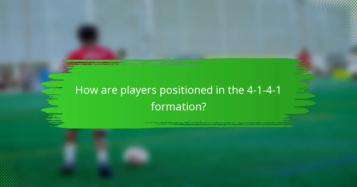 How are players positioned in the 4-1-4-1 formation?