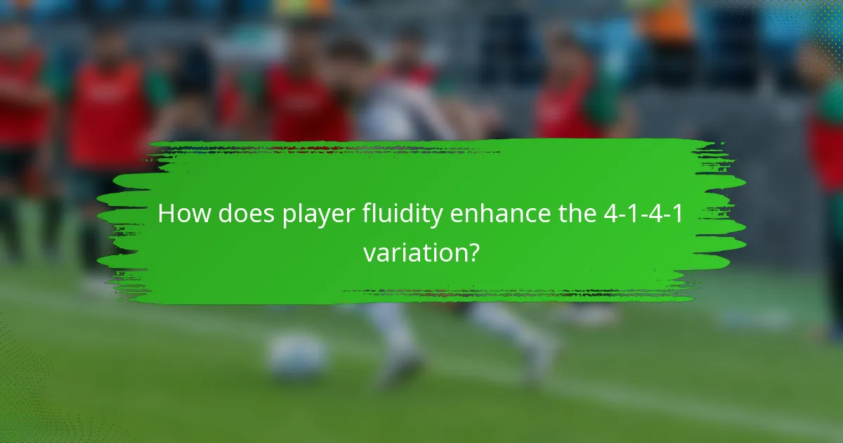 How does player fluidity enhance the 4-1-4-1 variation?