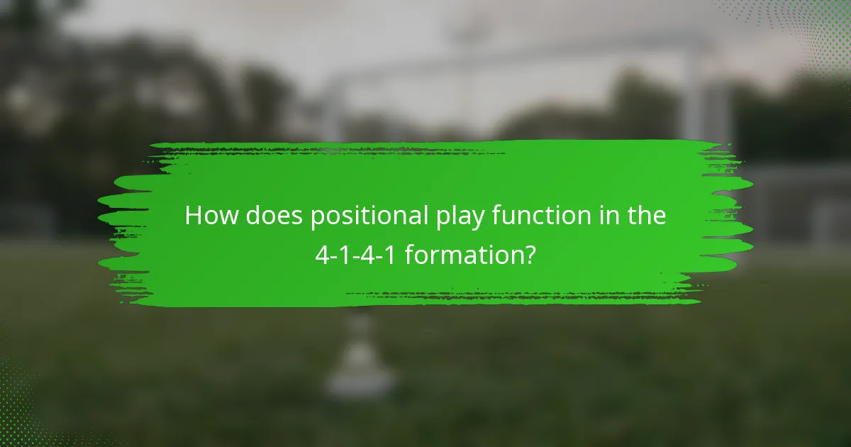 How does positional play function in the 4-1-4-1 formation?