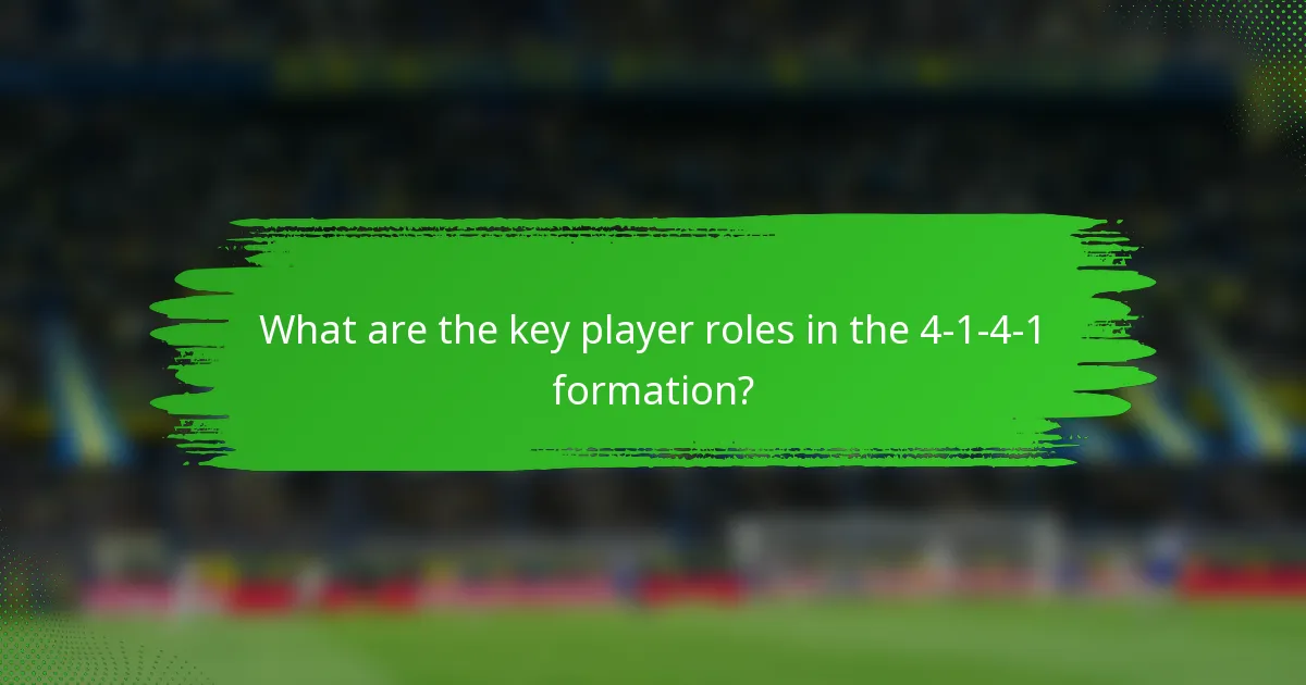 What are the key player roles in the 4-1-4-1 formation?