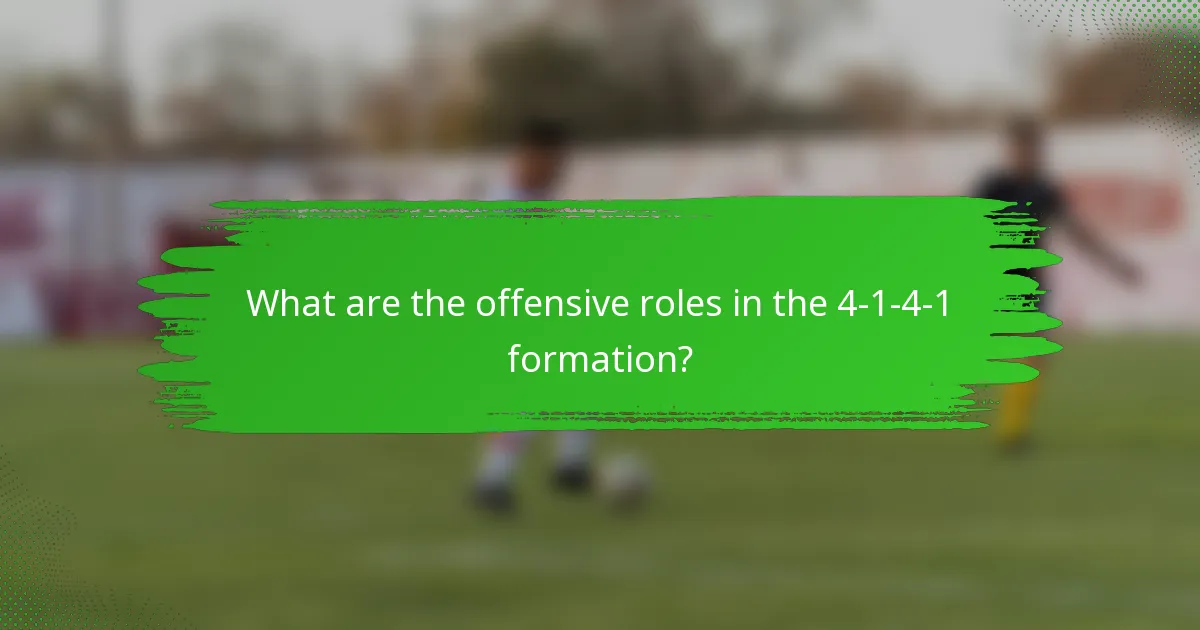 What are the offensive roles in the 4-1-4-1 formation?