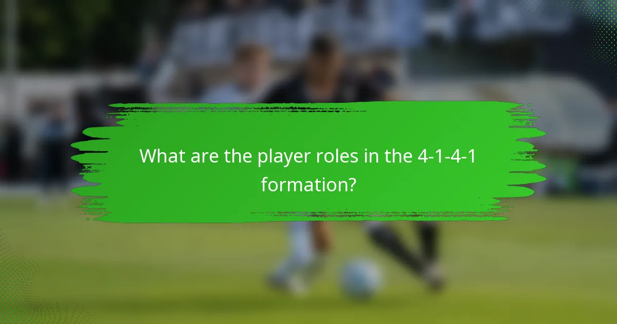 What are the player roles in the 4-1-4-1 formation?