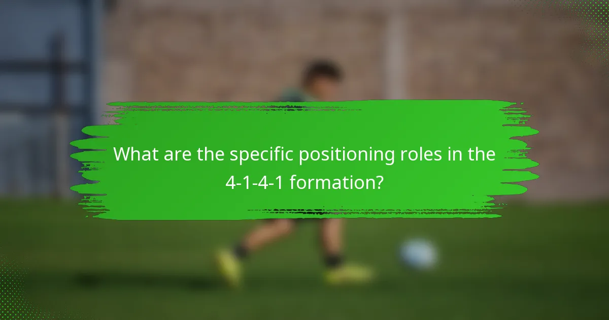 What are the specific positioning roles in the 4-1-4-1 formation?