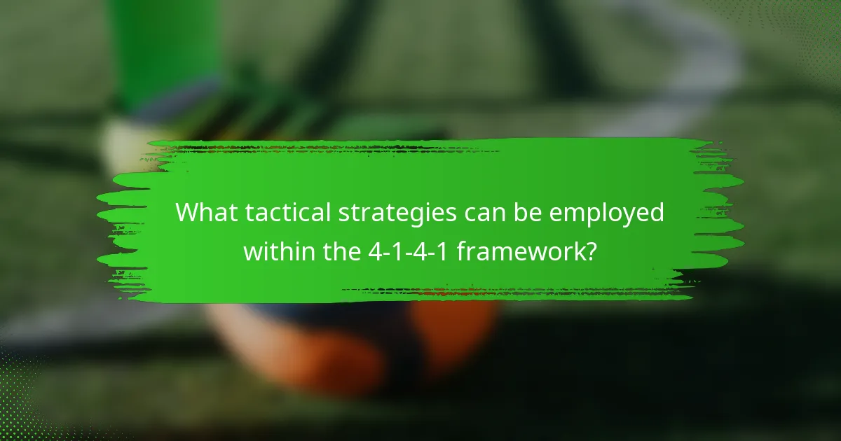 What tactical strategies can be employed within the 4-1-4-1 framework?
