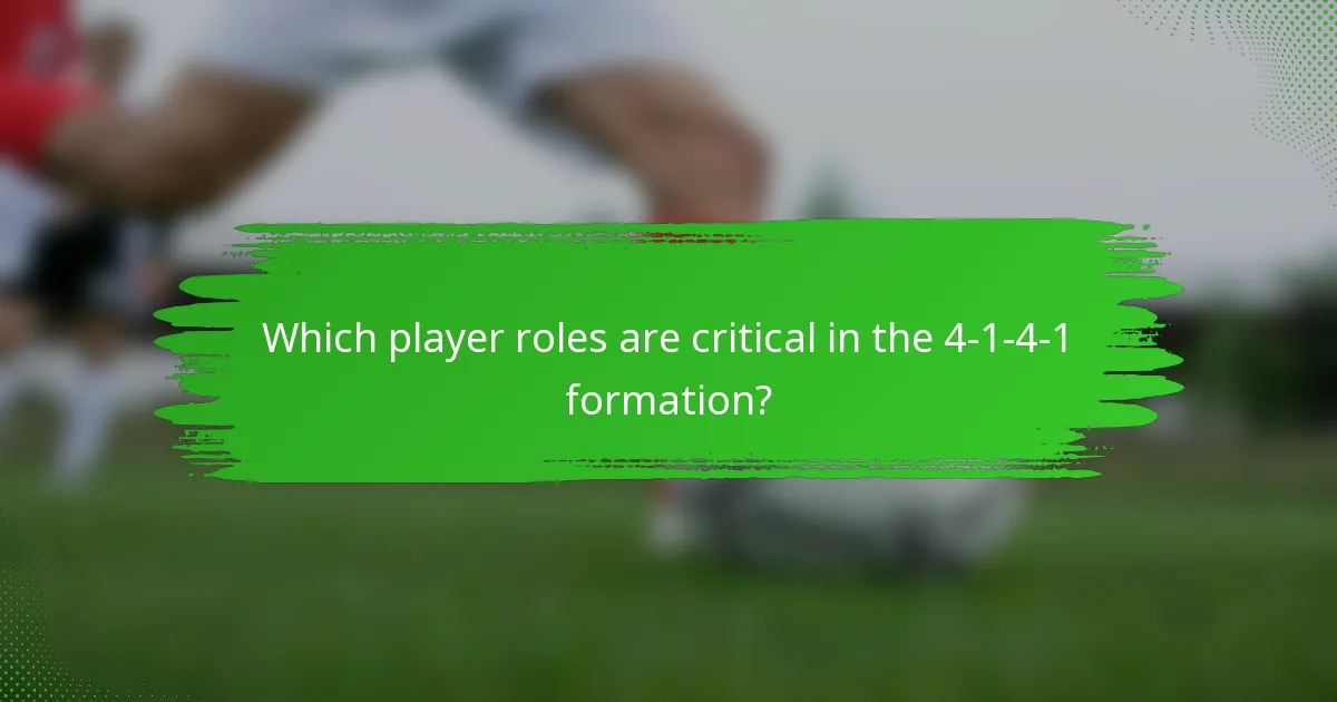 Which player roles are critical in the 4-1-4-1 formation?